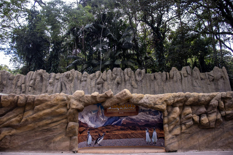 São Paulo : billet d'entrée pour le zoo de São Paulo
