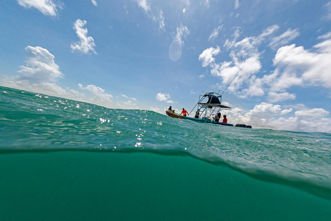 Holbox: Swimming with Wild Whale Sharks Boat Trip