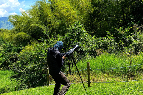 Medellín: Birdwatching on Cerro Tusa Ancient Pyramid Trails