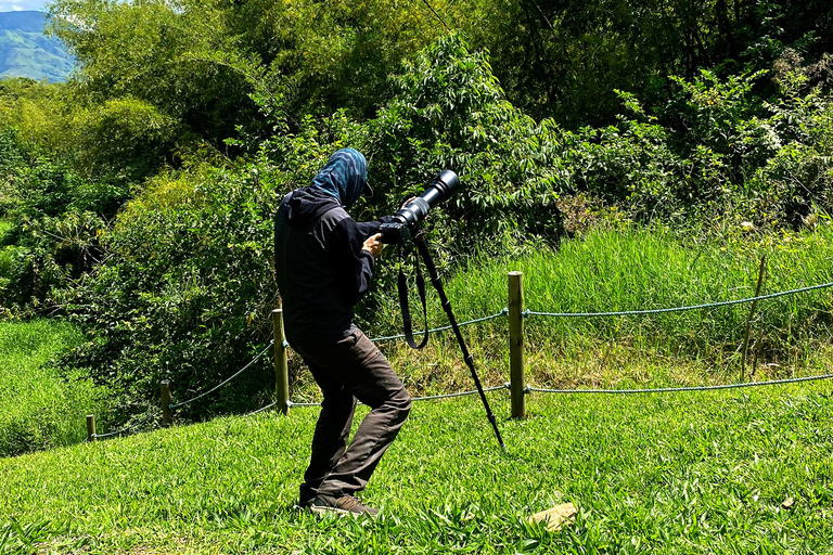 Medellín: Birdwatching on Cerro Tusa Ancient Pyramid Trails