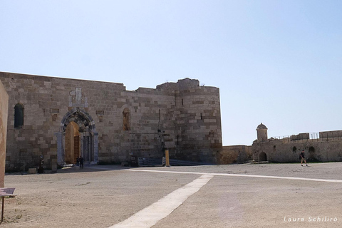 Desde Catania: tour cultural e histórico de Siracusa y Noto