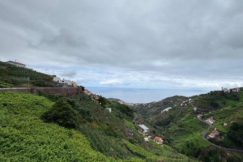 Madeira: Exotic Birds & Valleys 4x4 Safari with Local Guide Shared Exotic Birds & Valleys 4x4 Expedition Local Guide