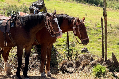 Ronda: Andalusian Panoramic Valley Horseback Experience