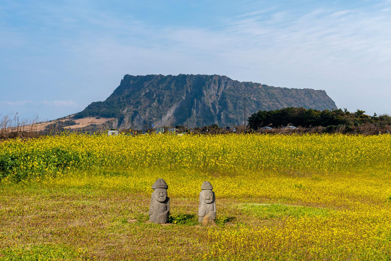Jeju: Day Tour, Small Volcano & Landmark & UNESCO Heritage Private Day Tour 5hr (Just Car Charter/Not including ticket)