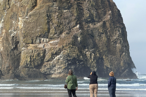 جولة مشاهدة حيتان إلى خليج ديبو وشاطئ كانون وتيلاموك