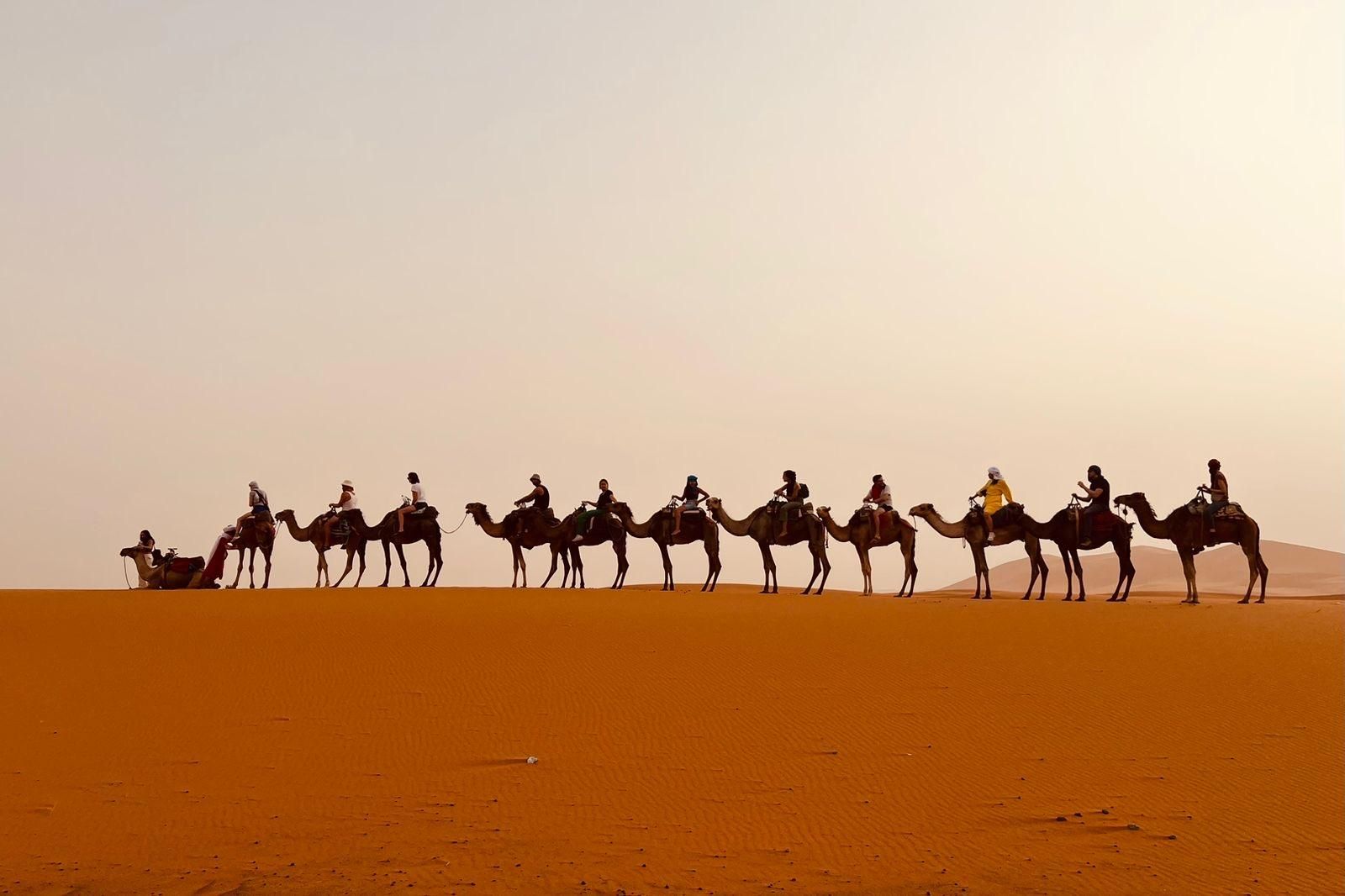 Von Fez: Private Tour 3-tägig nach Marrakesch über die Wüste Merzouga