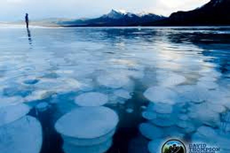 Abraham IceBubble,Bow Lake, Peyto Lake, Lake Louise Day Trip