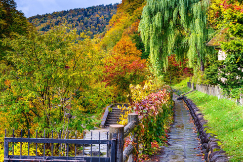 From Sapporo: Hoheikyo Dam, Jozankei & Lake Shikotsu Tour Shared Tour, Meet at Sapporo Station