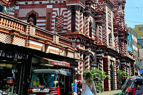 Kandy To Colombo Transfer With Tea Factory & Train Ride