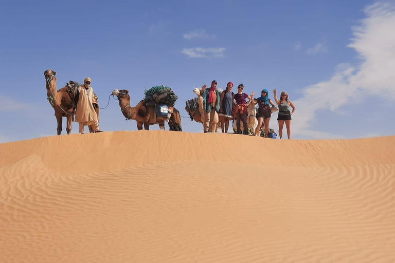 Camel Ride in Bir Abdallah ( Ksar Ghilan )