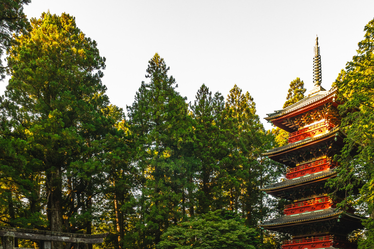 Tokyo: Nikko National Park Private Tour Hotel Pickup & Drop
