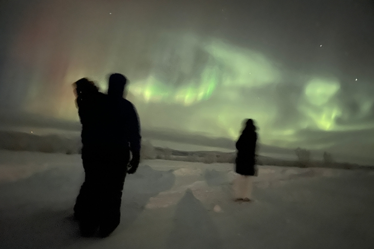 Excursion en minibus dans le parc national d'Abisko pour observer l'aurore boréale