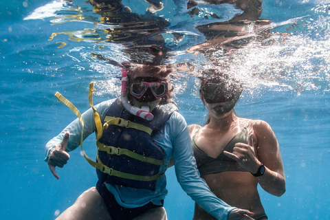 Waikiki : Visite en petit groupe du Turtle Canyon avec masque et tuba