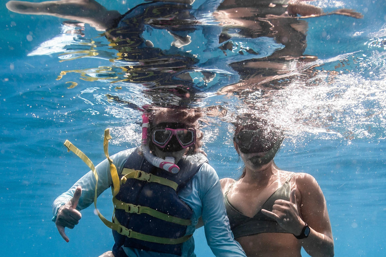 Waikiki : Visite en petit groupe du Turtle Canyon avec masque et tuba