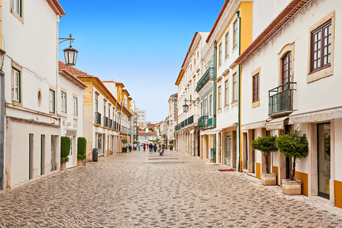 从里斯本出发：圣殿骑士路线 - 阿尔穆罗尔、托马尔和基督修道院独家私人之旅