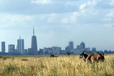 Tour guiado de medio día al Parque Nacional de Nairobi