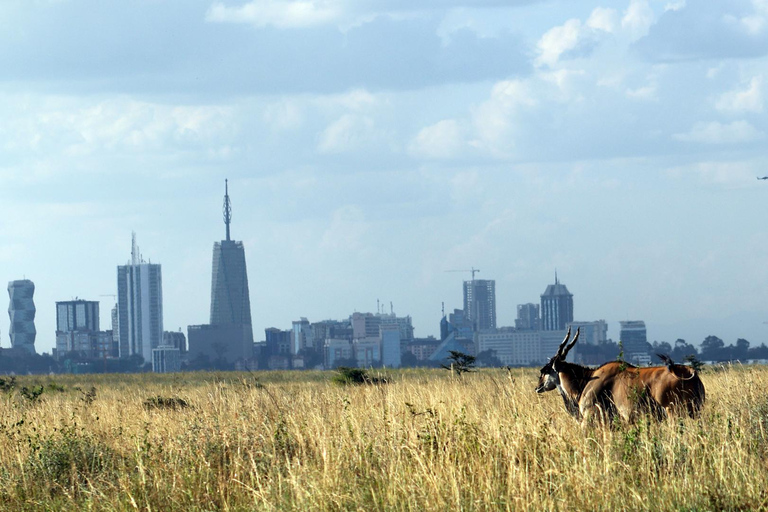 6 Hour Private Tour Nairobi National Park by Jeep