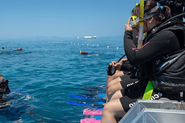 Cours PADI Open Water de 4 jours pour apprendre à plonger