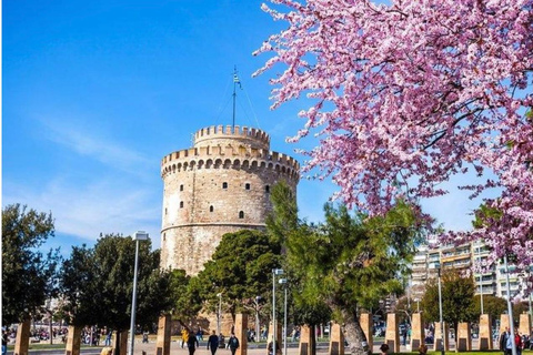 Thessalonique Les délices de la capitale de la Chalcidique