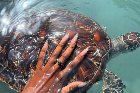 ZANZIBAR: Salaam Cave Sea Turtle Swim, Feed & Hotel Transfer