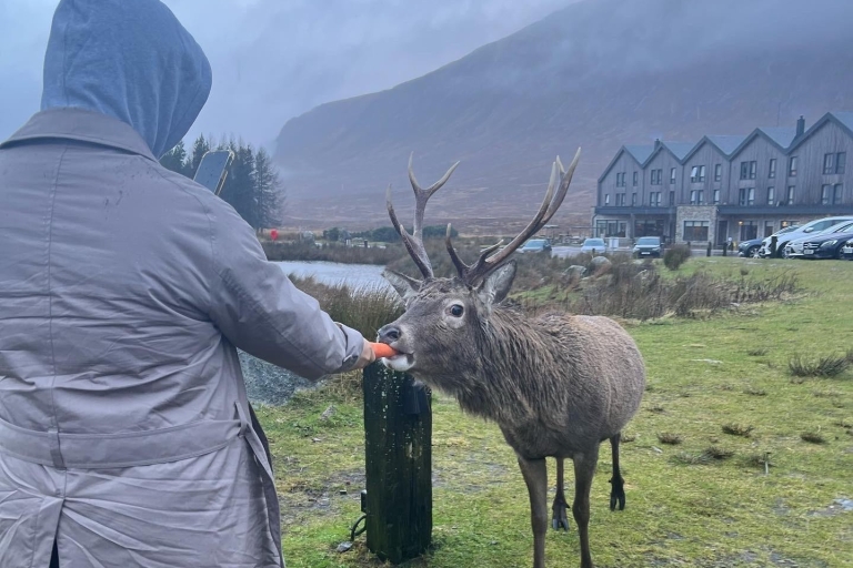 Au départ d'Édimbourg : 3 jours sur l'île de Skye, visite des Highlands avec Accom