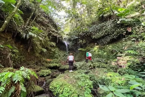 Lawyer Stephen Hike with Waterfall and Cave Hike
