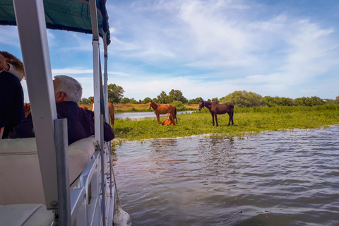 Escaroupim: 1 hour boat trip, guided tour