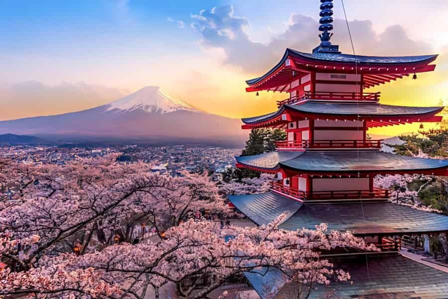 Tokio: Tagestour zum Berg Fuji mit kulturellem Erlebnis. Foto: GetYourGuide Tokio: Tagestour zum Berg Fuji mit kulturellem Erlebnis. Foto: GetYourGuide