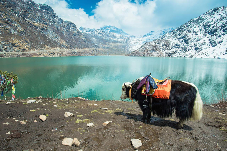 Bagdogra: Himalayas, Sikkim & Kalimpong 10-Day Tour