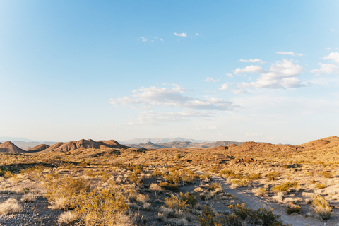 Las Vegas: Guided Las Vegas Desert ATV Tour