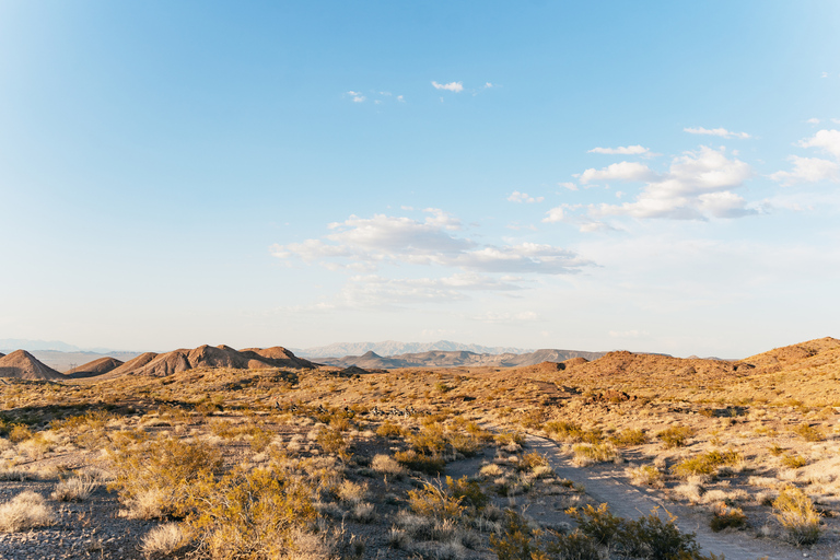 Las Vegas: Guided Mojave Desert ATV Tour