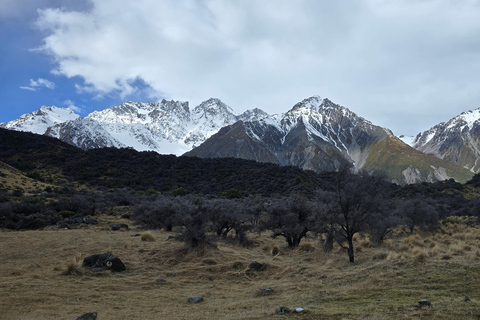 Tekapo to Mt. Cook National Park Day Tour with Driver