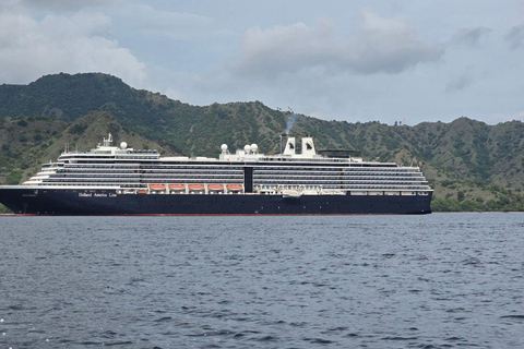 Komodo Island Shore Excursion for Cruise Ship Passengers