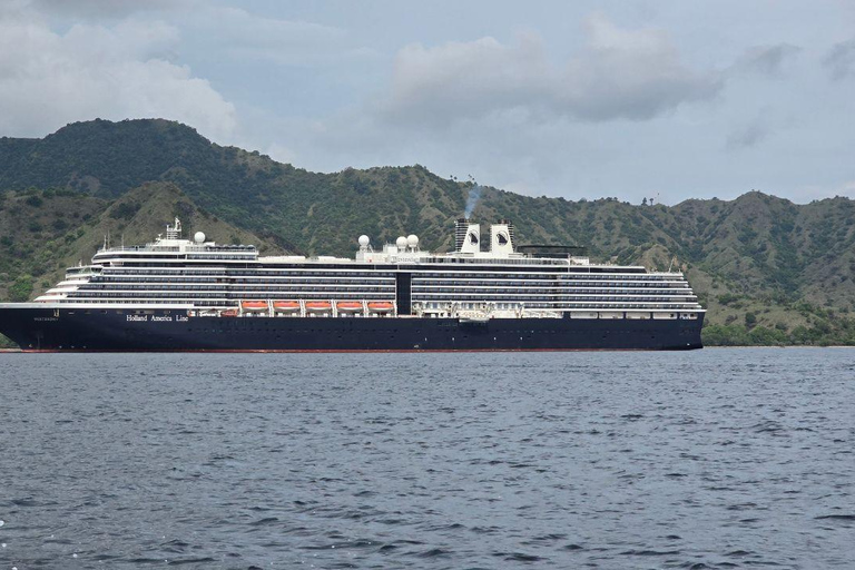 Komodo Island Shore Excursion for Cruise Ship Passengers
