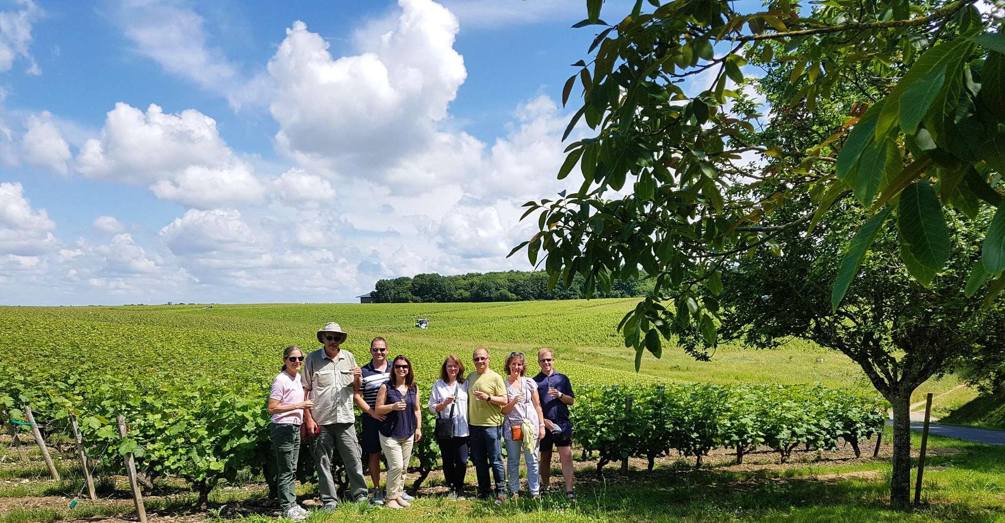 Van Tours, Villandry, Azay-le-Rideau & Vouvray Winery - Hizvo
