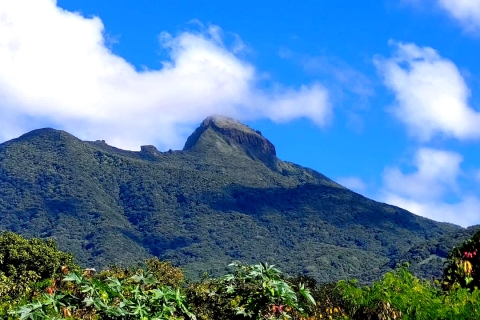 St. Kitts Mount Liamuiga-vulkaanwandelingSt Kitts Mount Liamuiga-vulkaanwandeling
