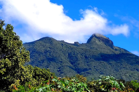 Saint-Kitts Randonnée au volcan Mount LiamuigaSt Kitts Randonnée au volcan Mount Liamuiga