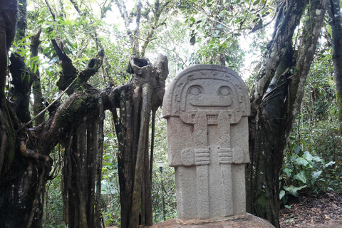 علم الآثار النقي: Tierradentro وSan Agustín (4D/3N)