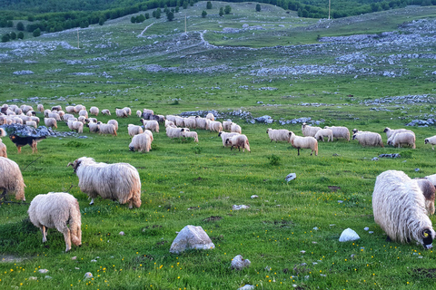 From Sarajevo: Offroad 4x4 Safari tour to Lukomir village
