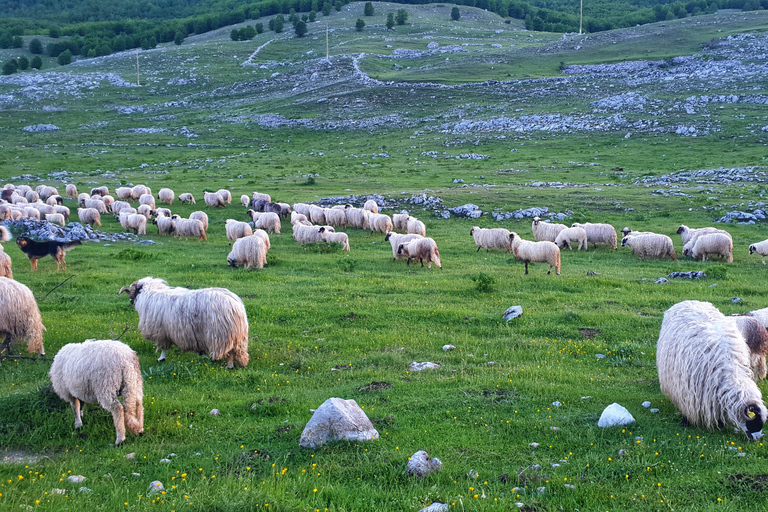 From Sarajevo: Offroad 4x4 Safari tour to Lukomir village