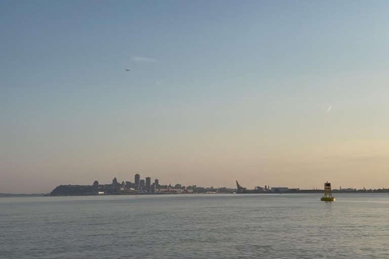 Québec City: Sunset Zodiac Boat Tour on St. Lawrence River
