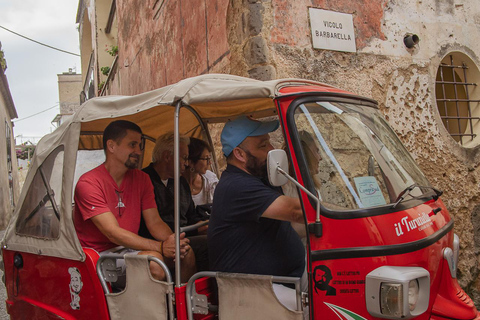 Sorrento: Lemons grove, Farm Tour&Tasting and Pizza Class Sorrento Coast: Enogastronomic Tour with Show & Tasting