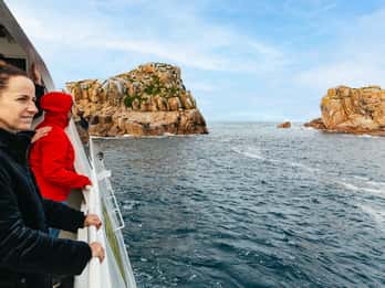 Da Coles Bay: Crociera nella baia di Wineglass con pranzo