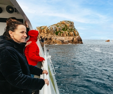 Depuis Coles Bay : Croisière dans la baie de Wineglass avec déjeuner
