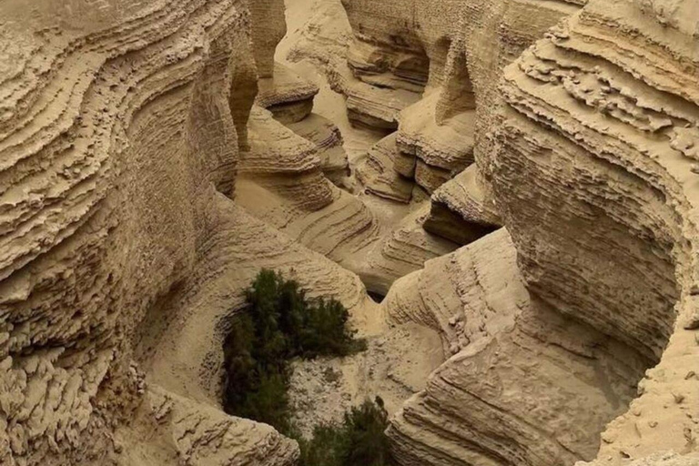 Ica: Visit the Canyon of the Lost with a hike and a natural approach