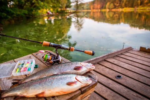 Rovaniemi: Tour di pesca estiva nella natura artica e barbecueTour di pesca estiva nella natura artica e barbecue - Piccolo gruppo