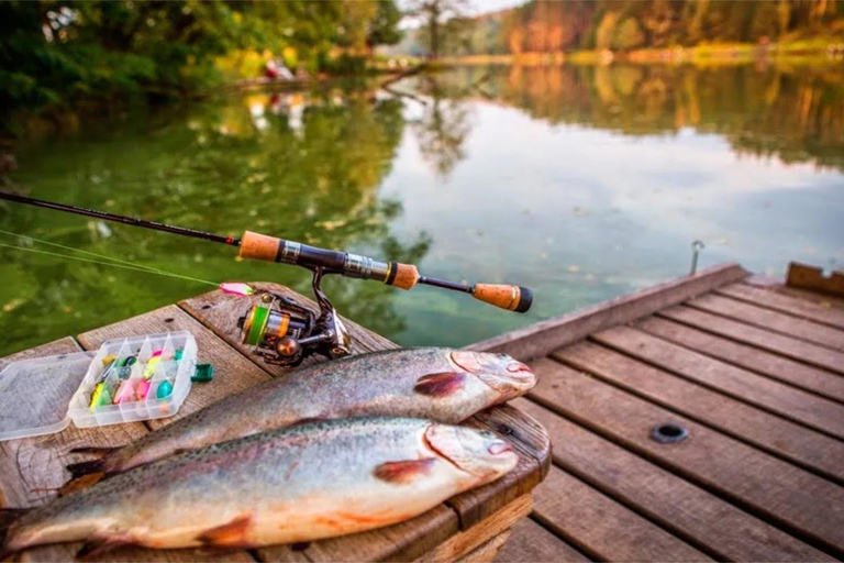 Rovaniemi: Tour di pesca estiva nella natura artica e barbecueTour di pesca estiva nella natura artica e barbecue - Piccolo gruppo