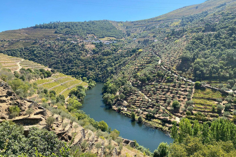 Private Douro Luxury,Private Boat,Wine,visits, 5 Stars Lunch