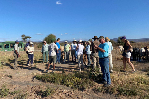Von Arusha: 8-tägige Wildtier- und KultursafariVon Arusha aus: 8-tägige Safari mit Wildtieren und Kultur