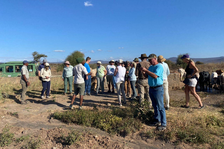 Von Arusha: 8-tägige Wildtier- und KultursafariVon Arusha aus: 8-tägige Safari mit Wildtieren und Kultur